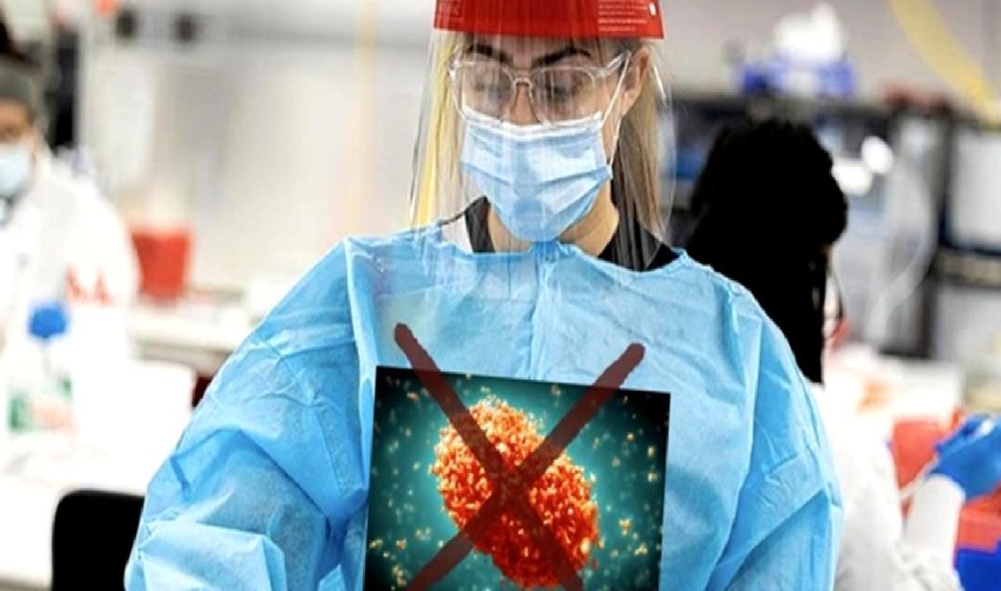 Maymun çiçeği salgını, İsveç'te ilk enfeksiyonun tespit edilmesiyle yeni bir