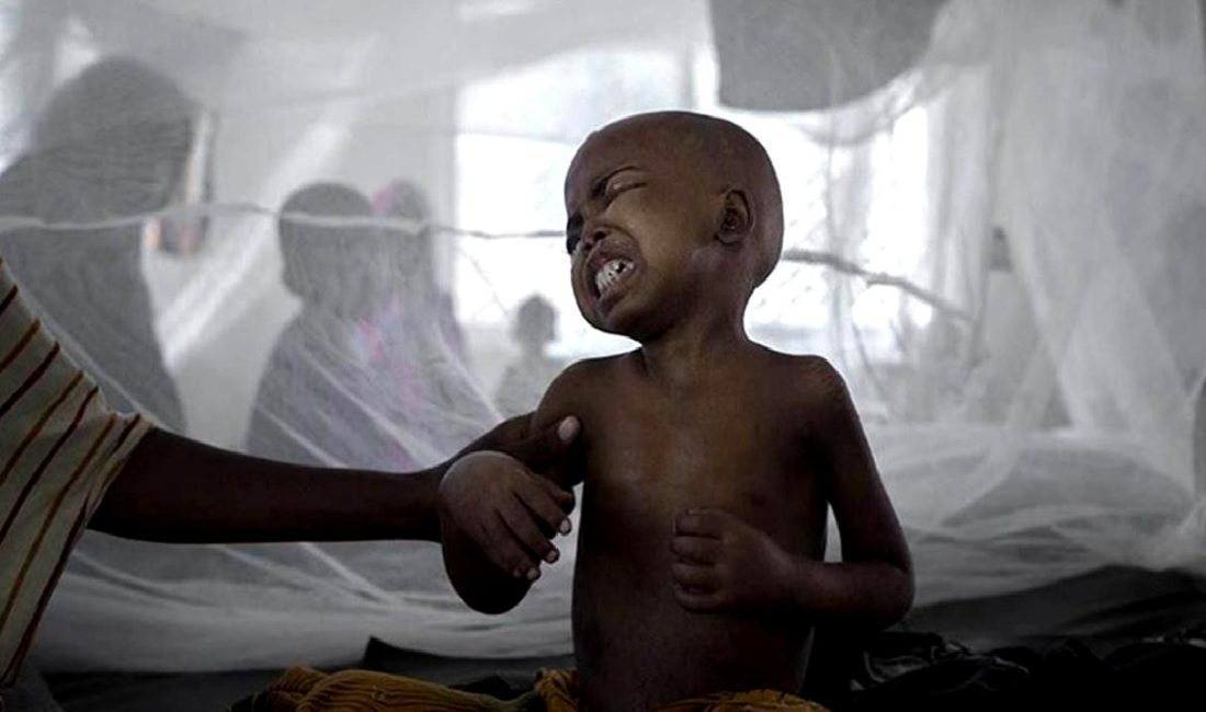 Nijerya'da kolera salgını ile ilgili son durumu ve alınan önlemleri