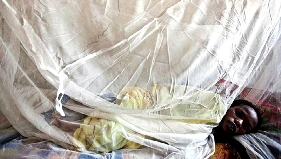 Nijerya'da M Çiçeği Virüsü vakalarının artışı üzerine güncel bilgiler ve