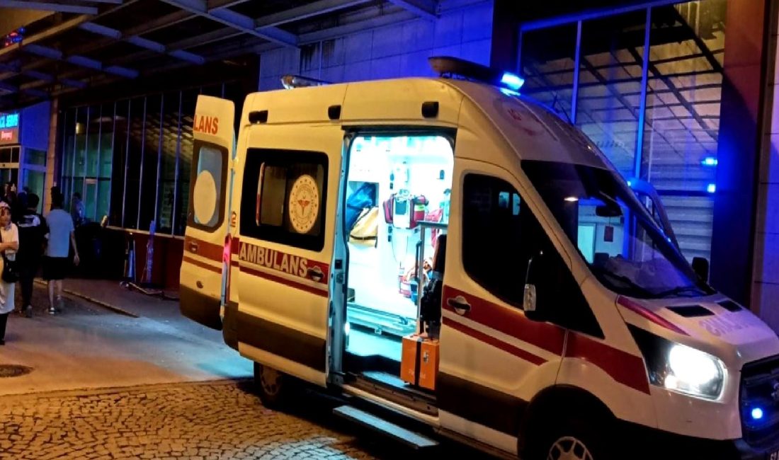 Ordu’da Patpat Aracı Devrildi: Bir Kişi Hayatını Kaybetti Ordu'da meydana gelen talihsiz bir kazada patpat aracı devrildi. Olayda