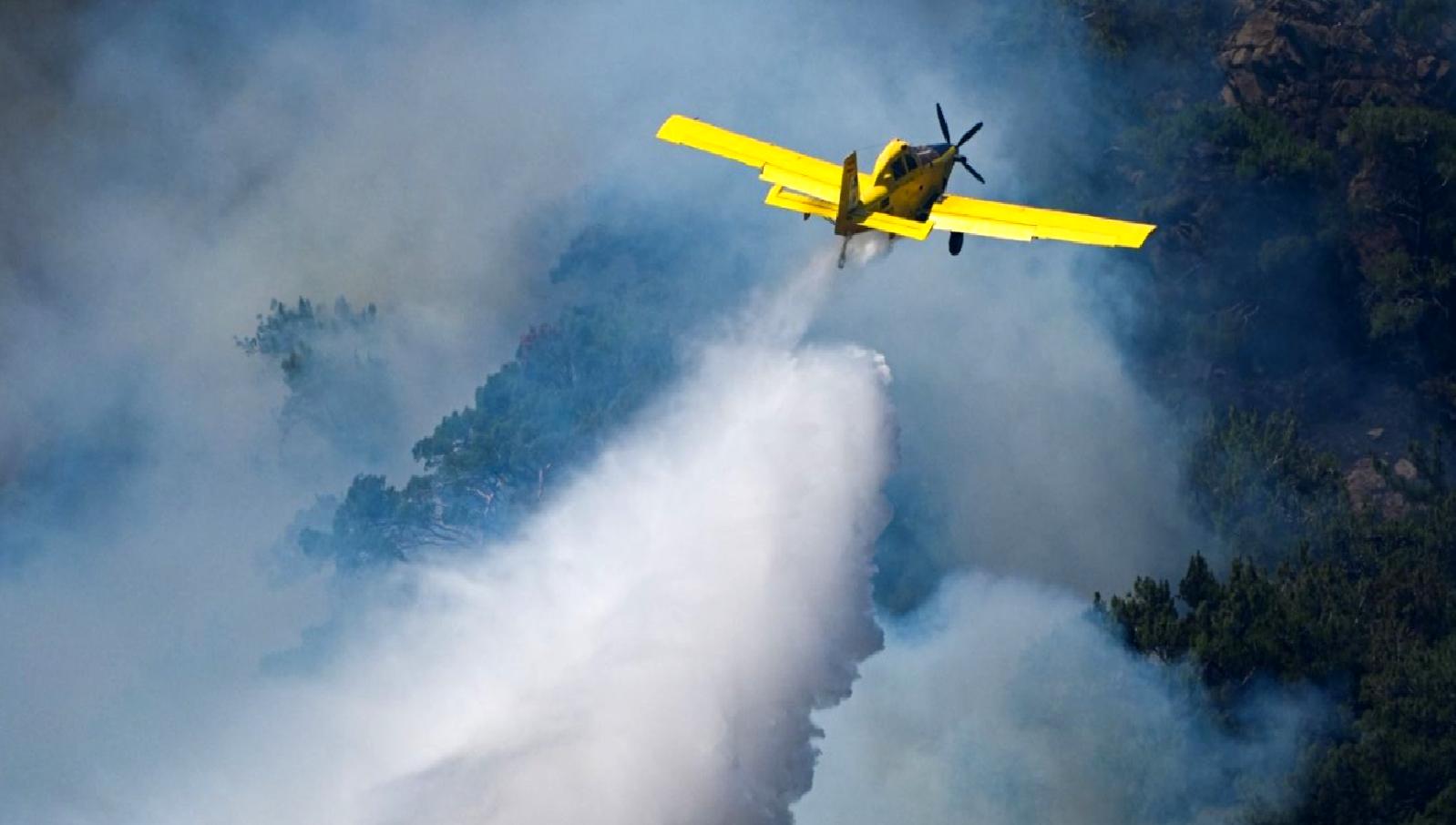 Orman yangınlarıyla mücadelede elde edilen başarılar, doğanın korunmasında kritik bir