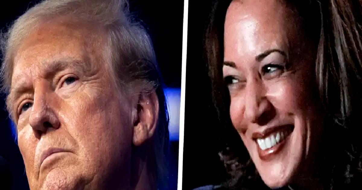 Polymarket'te seçim tahminleri üzerinde Kamala Harris'in önde olduğu veriler dikkat