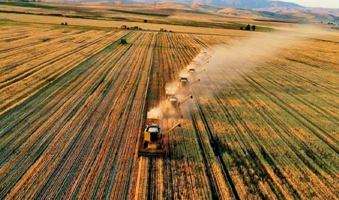 Tarım Bakanı Yumaklı, çiftçilere yönelik 1.2 milyar lira destek ödemesi