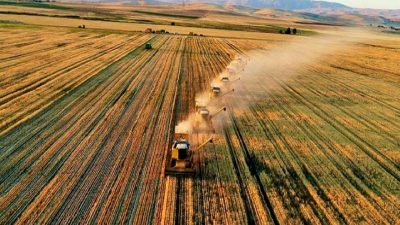 Tarım Bakanı Yumaklı, çiftçilere yönelik 1.2 milyar lira destek ödemesi