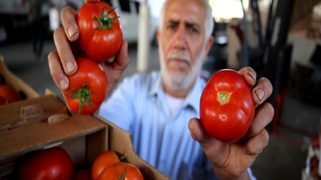 Tarım ürünleri ithalat sorunları, yerel üretimi nasıl etkiliyor? Bu makalede,