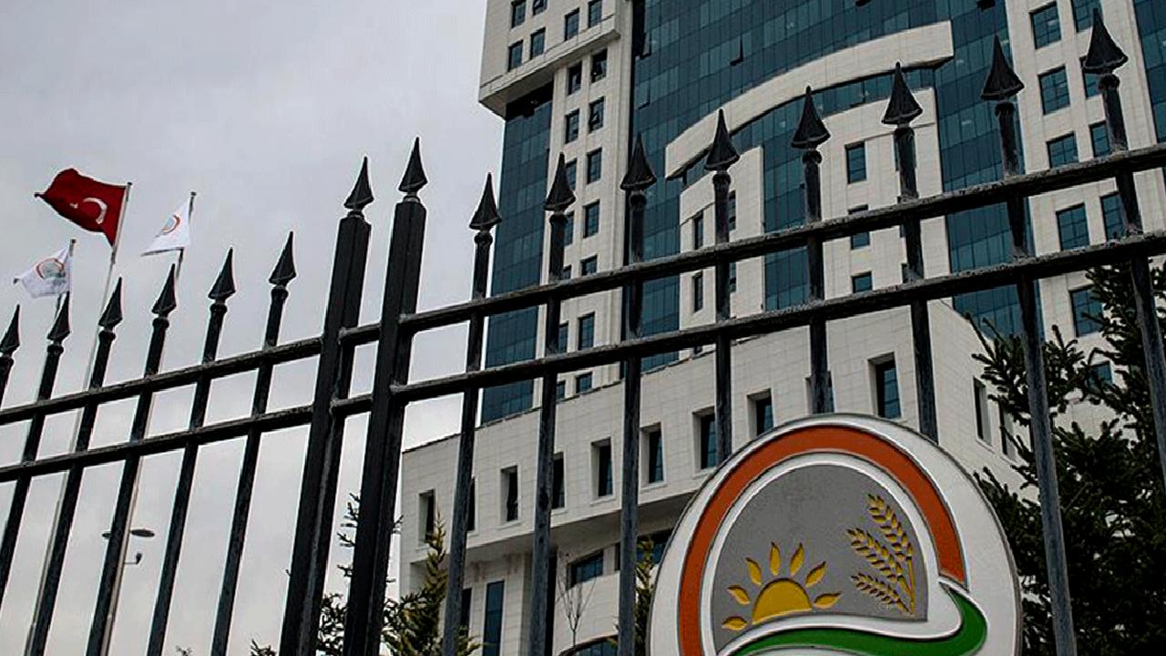 Tarımsal amaçlı örgütlerin derecelendirilmesine yönelik yönetmelik değişikliği ile sektördeki standartlar