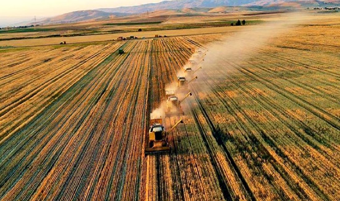 TARSİM heyeti, Özbekistan'a yaptığı ziyaretle tarımsal sigortacılık alanında işbirliği fırsatlarını
