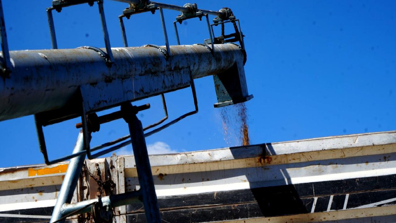 TMO Bayburt Geçici Alım Merkezi'nde hububat alımları başladı! Çiftçiler için