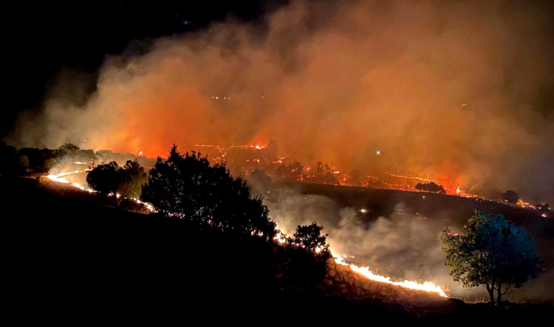 Tunceli’de Orman Yangını Kontrol Altına Alındı Tunceli'de meydana gelen orman yangını, ekiplerin yoğun çalışmaları sonucunda kontrol