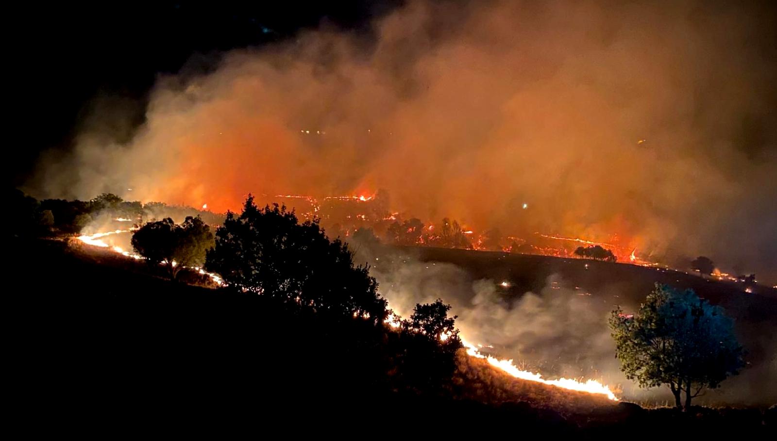 Tunceli'de meydana gelen orman yangını, ekiplerin yoğun çalışmaları sonucunda kontrol