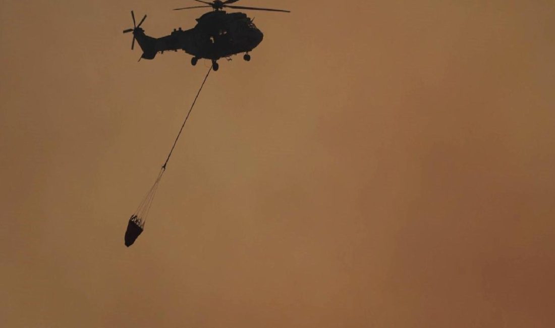 Türk Silahlı Kuvvetleri, doğal afetlerle mücadelede yangın söndürme faaliyetlerine sağladığı