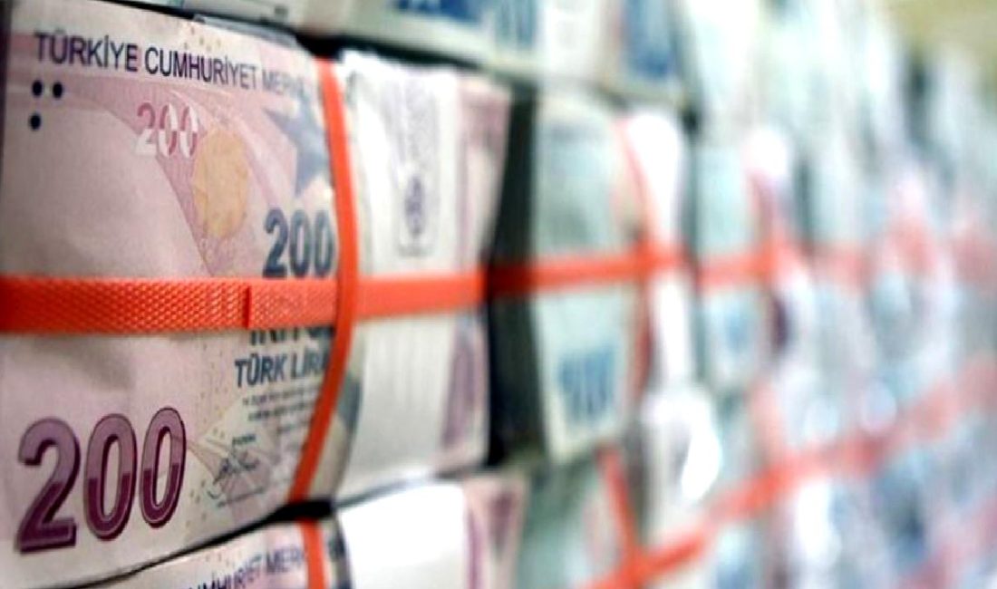 Türkiye Bankalar Birliği Risk Merkezi Kredi Verileri Raporu, bankacılık sektöründeki