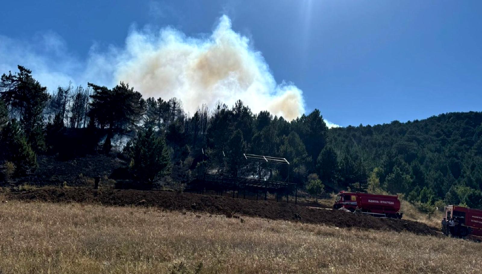 Türkiye'de orman yangınları, ekosistemimizi tehdit eden önemli bir sorun. Bu