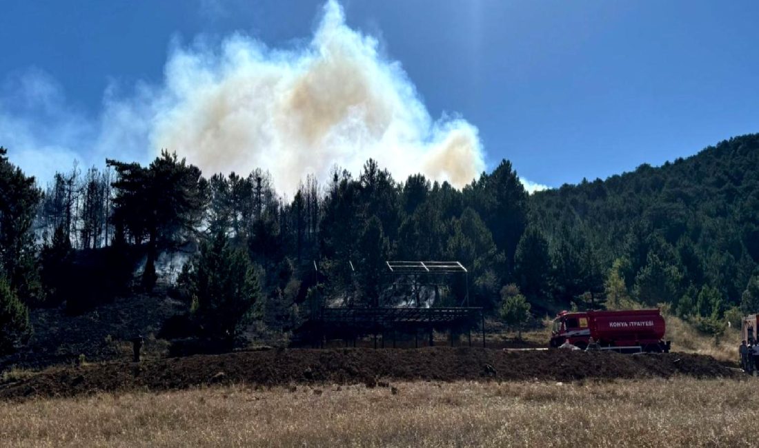 Türkiye'de orman yangınları, iklim değişikliği ve insan etkisiyle artış göstermektedir.