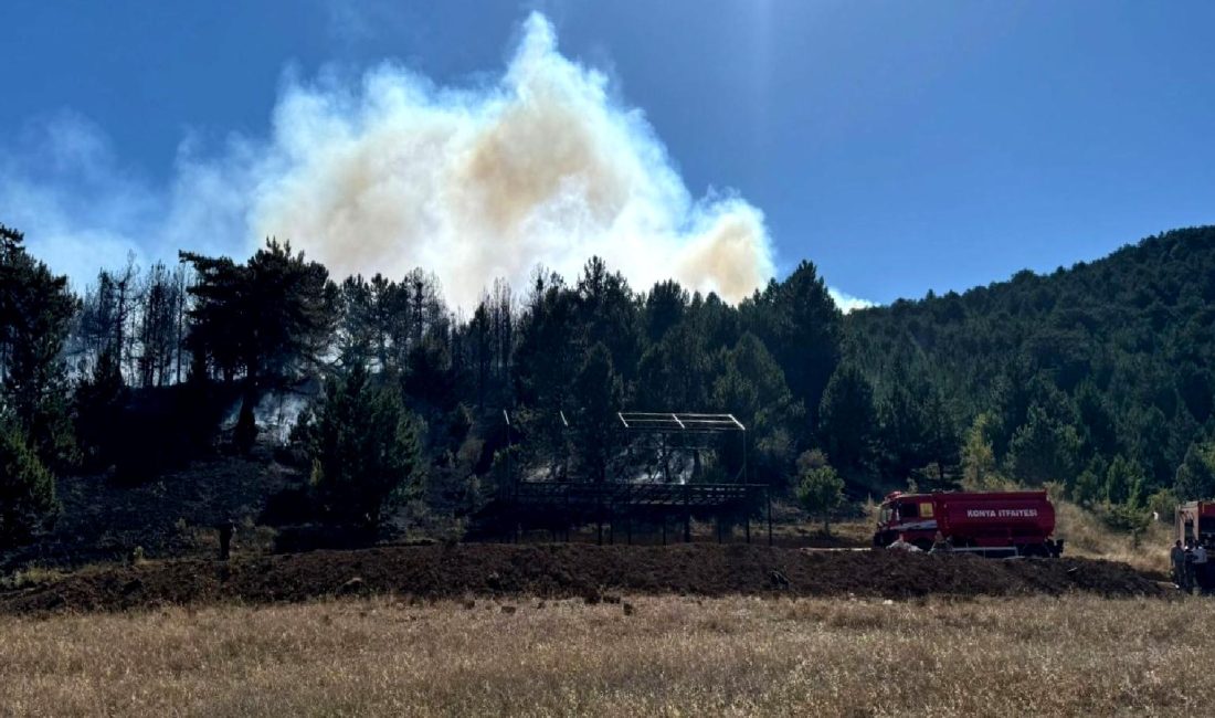 Bu içerikte, Türkiye'nin çeşitli illerinde yaşanan orman yangınlarına dair detaylar