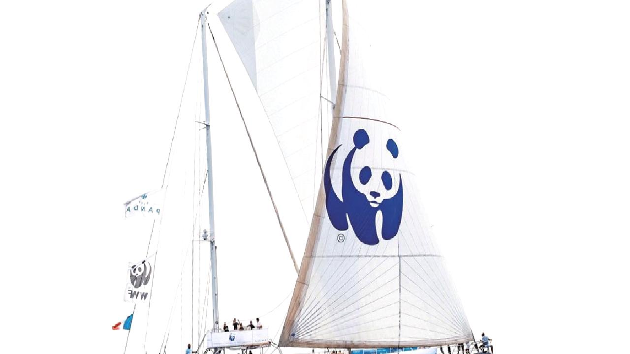 WWF-Türkiye ve Blue Panda, Datça-Bozburun bölgesini ziyaret ederek doğanın korunması