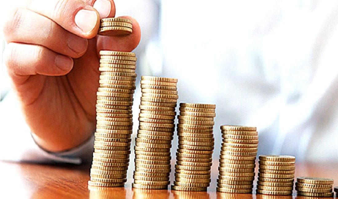 2025 Yılı Merkezi Yönetim Bütçe Kanunu Teklifi ve Bireysel Emeklilik