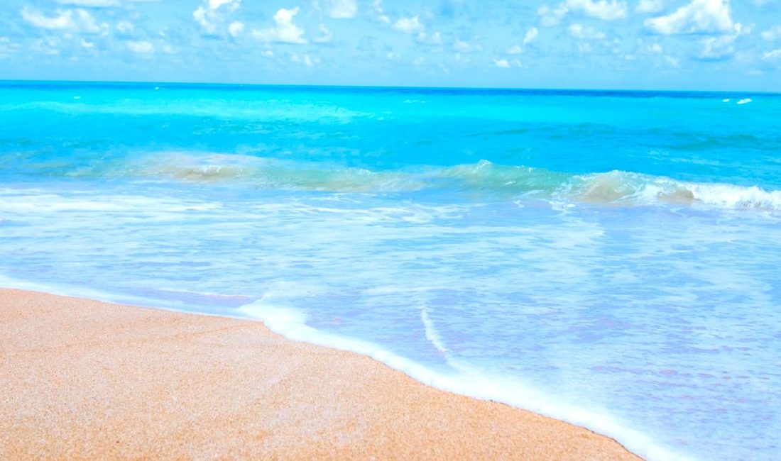 Akarca Sahilinde Geri Dönüşüm ve Temizlik Etkinliği ile doğamıza sahip