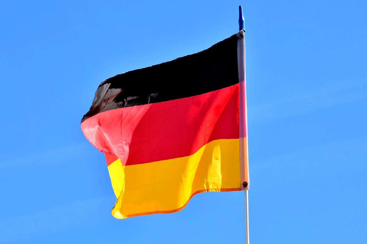 Almanya'da 2023 yılı, köpek vergisi gelirleri açısından tarihi bir zirveye