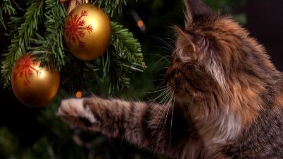 Küresel ekonomik dalgalanmalar ve enflasyon endişeleri, altın fiyatlarında yükseliş beklentisini