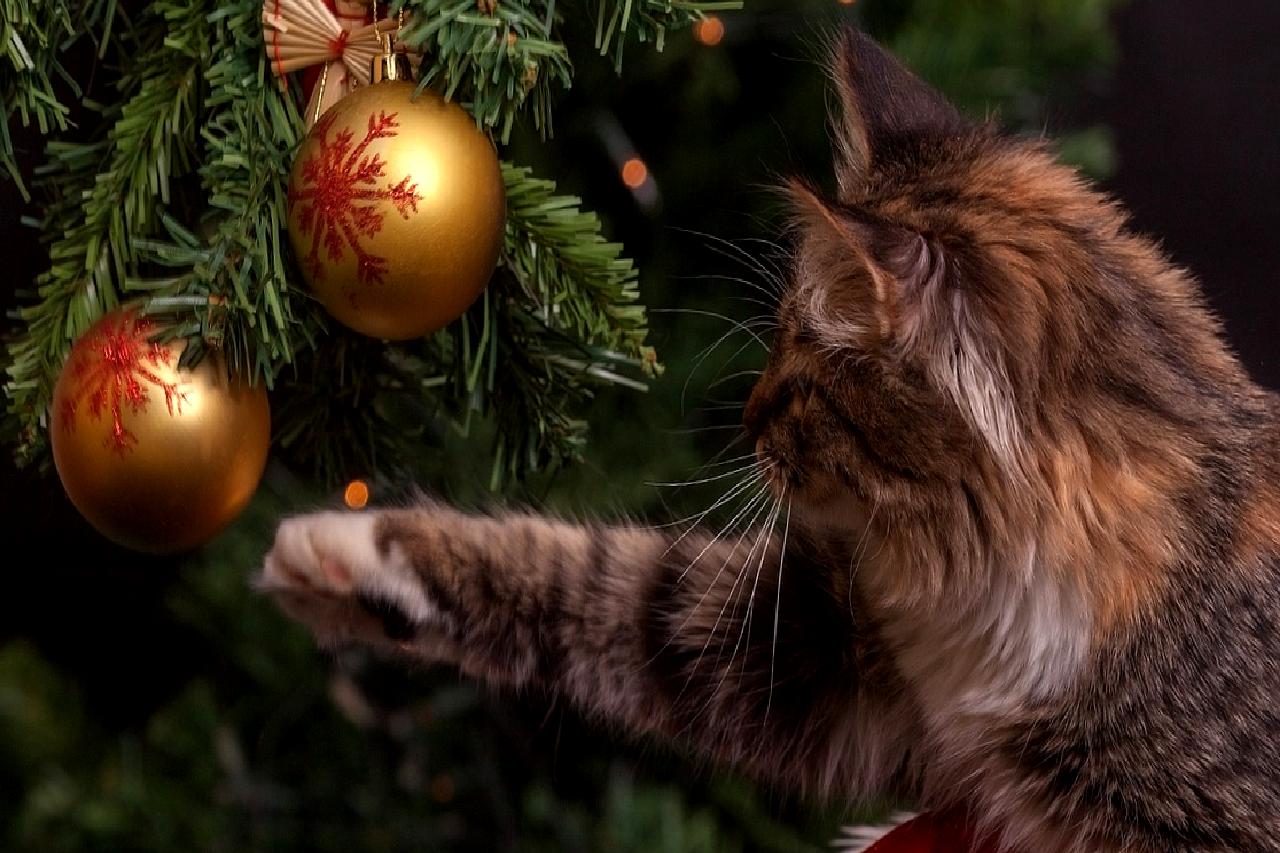 Küresel ekonomik dalgalanmalar ve enflasyon endişeleri, altın fiyatlarında yükseliş beklentisini