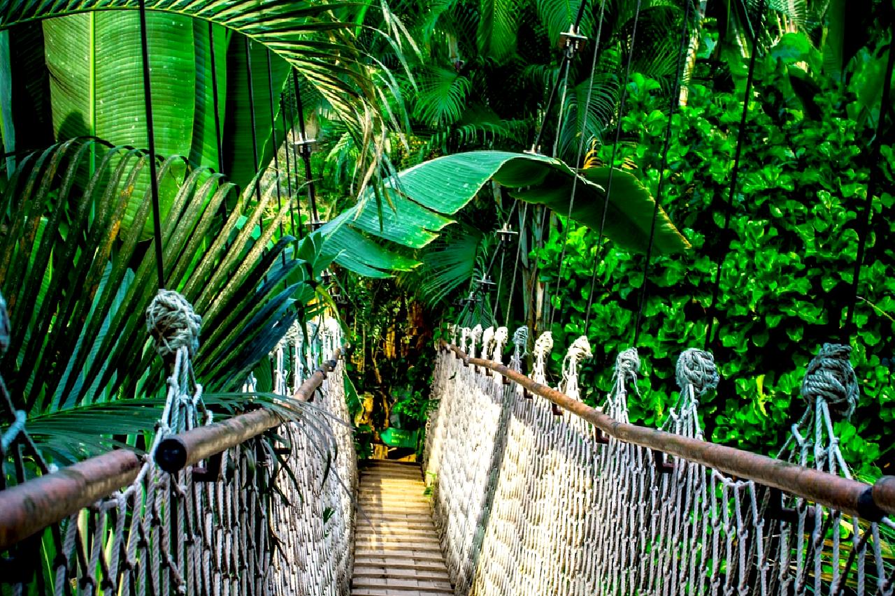 Amazon'a karşı FTC'nin antitröst davası devam ediyor. Rekabeti koruma ve