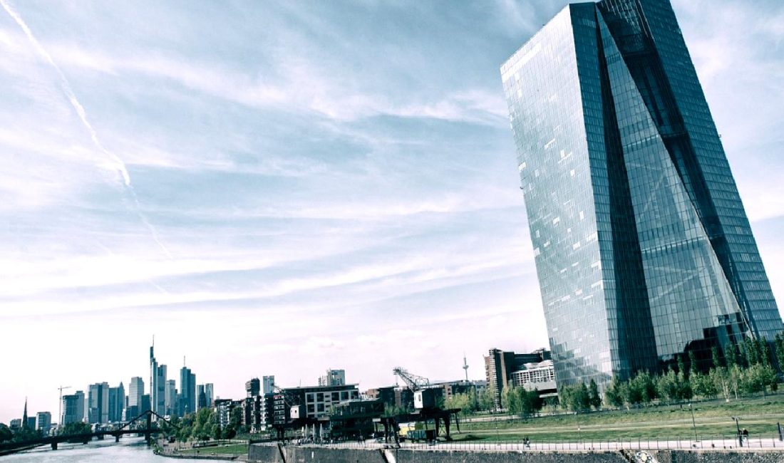 Avrupa Merkez Bankası'nın faiz indirimine dair son açıklamaları, ekonomik büyüme