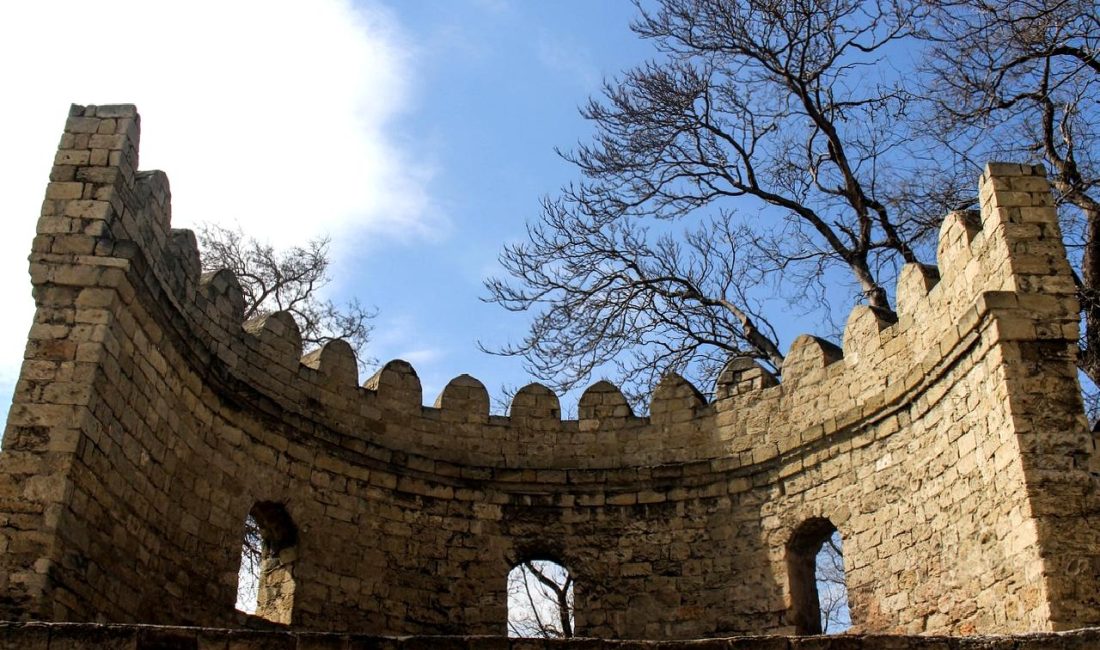 Azerbaycan Enerji Bakanlığı'nın 2024 yılına ait petrol ve doğal gaz