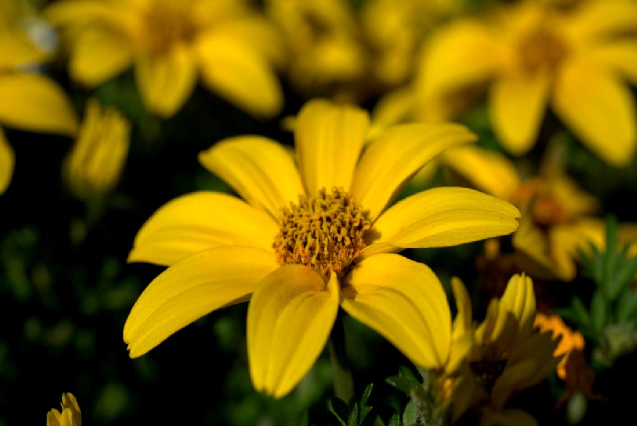 Biden yönetimi, ticari uzay şirketlerine yönelik ihracat kısıtlamalarını gevşetti. Bu