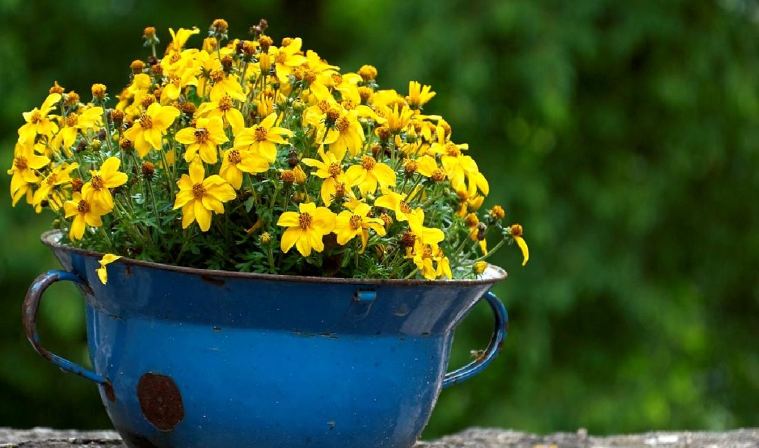 Biden’dan Berlin’de Hamas Lideri Sinvar’ın Öldürülmesine İlişkin Açıklamalar Biden, Berlin'de yaptığı açıklamalarda Hamas lideri Sinvar'ın öldürülmesine dair önemli