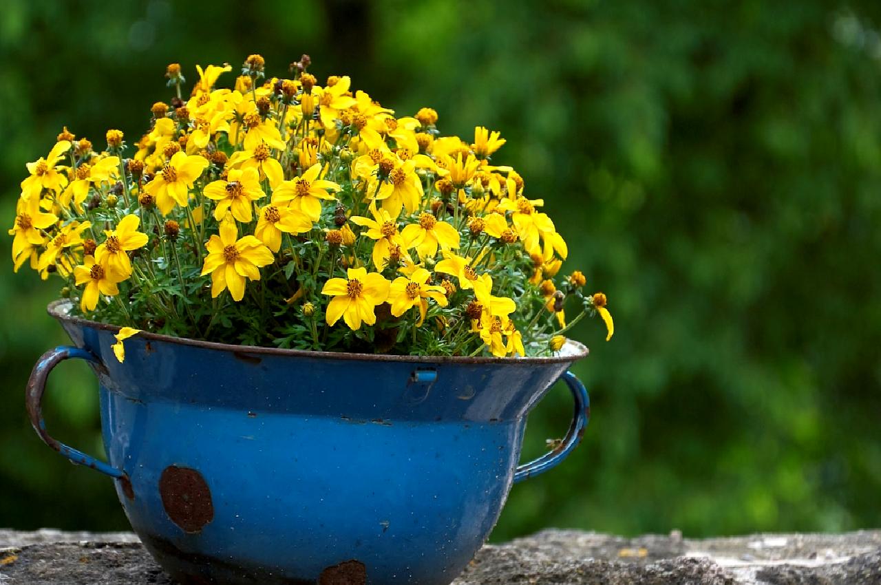 Biden, Berlin'de yaptığı açıklamalarda Hamas lideri Sinvar'ın öldürülmesine dair önemli