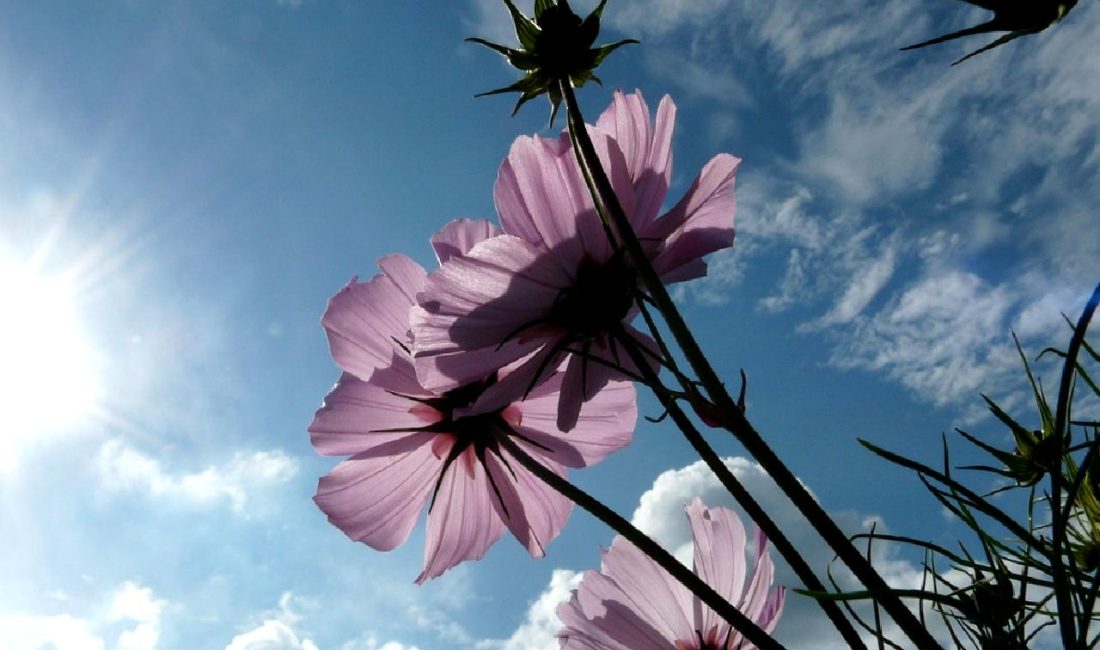 Biden, Ukrayna'ya yönelik yeni 425 milyon dolarlık savunma paketini duyurdu.