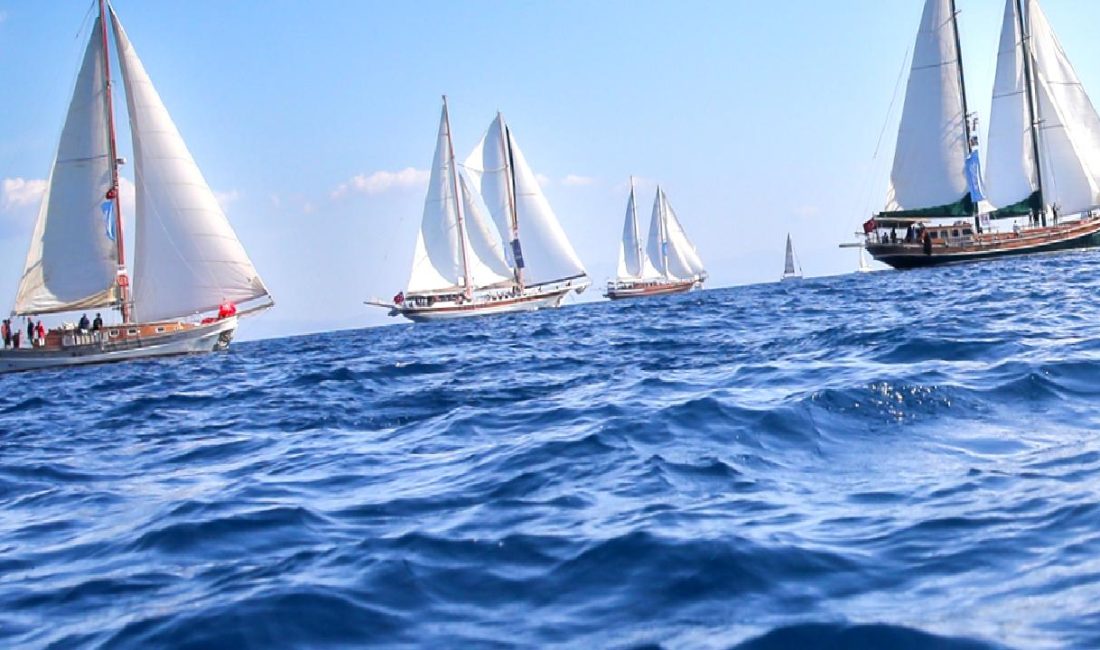 Bodrum Cup Yelken Yarışları: Rekabet ve Doğanın Buluşması Bodrum Cup Yelken Yarışları, muhteşem doğa manzaraları eşliğinde gerçekleşen, heyecan