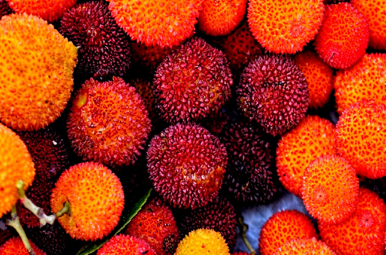 Bursa'da yaşanan sokak kavgasında, bir grup arasında çıkan tartışma, kürekle