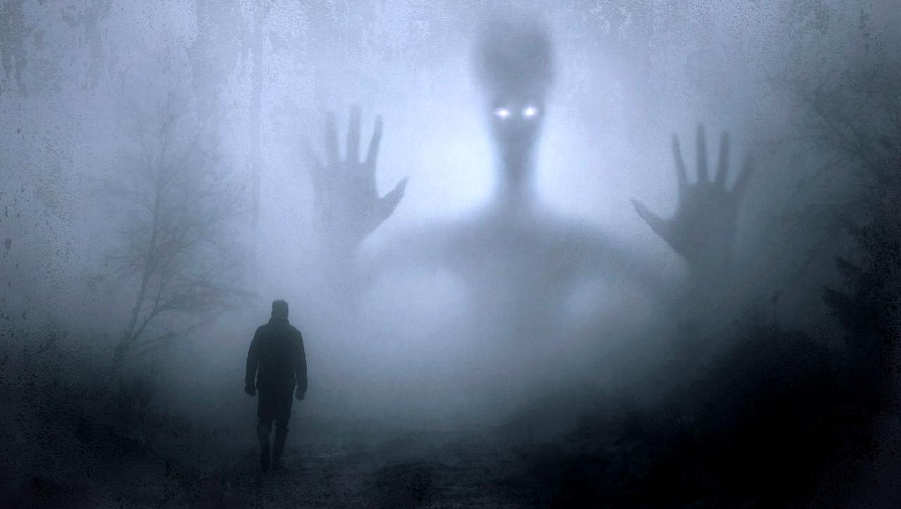 Cadılar Bayramı'nda şekerleme stratejileri ve tüketici tercihleri üzerine kapsamlı bir