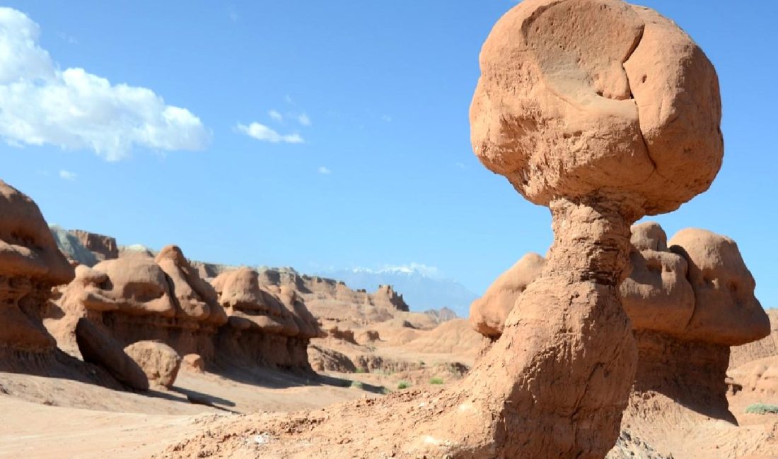 Çin bankaları, ekonomik büyümeyi desteklemek amacıyla faiz oranlarını düşürme planları