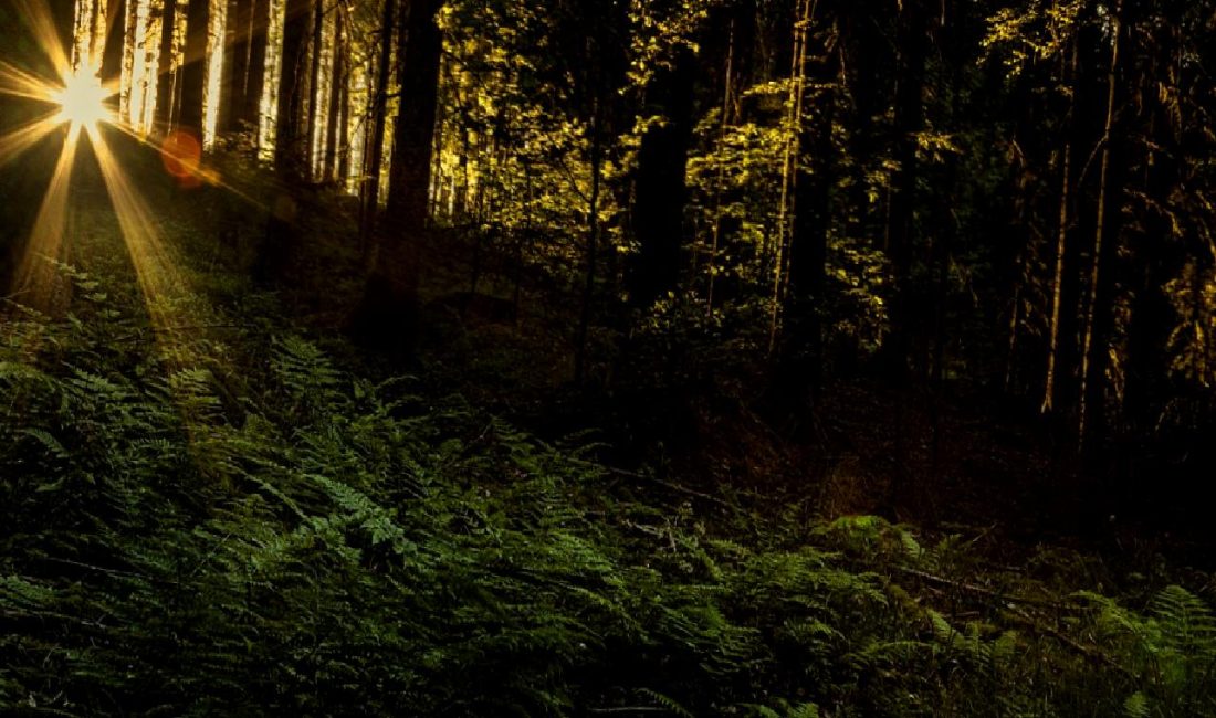 Çin'in yerel yönetim borç yeniden yapılandırma programı, yerel ekonomilerin sürdürülebilirliğini