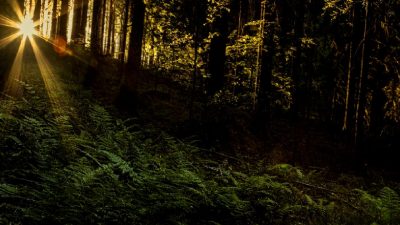 Çin'in yerel yönetim borç yeniden yapılandırma programı, yerel ekonomilerin sürdürülebilirliğini