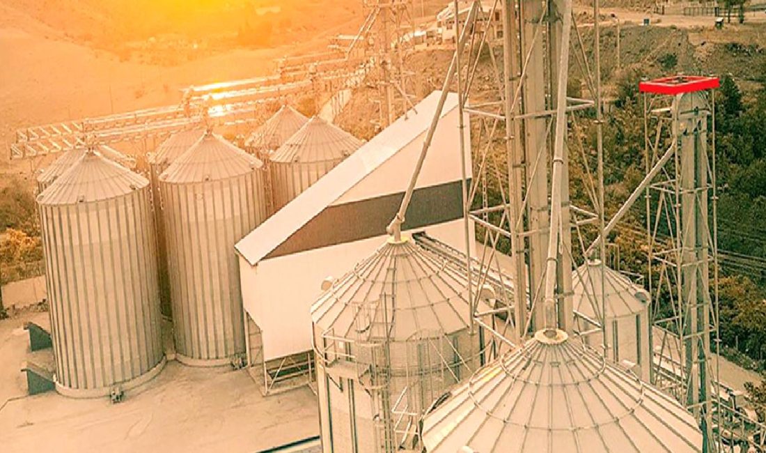 Çitlekçi Markası ile Kuru Yemiş Sektöründe Yenilikçi Adımlar Çitlekçi Markası, kuru yemiş sektöründe yenilikçi adımlarıyla dikkat çekiyor. Kalite,