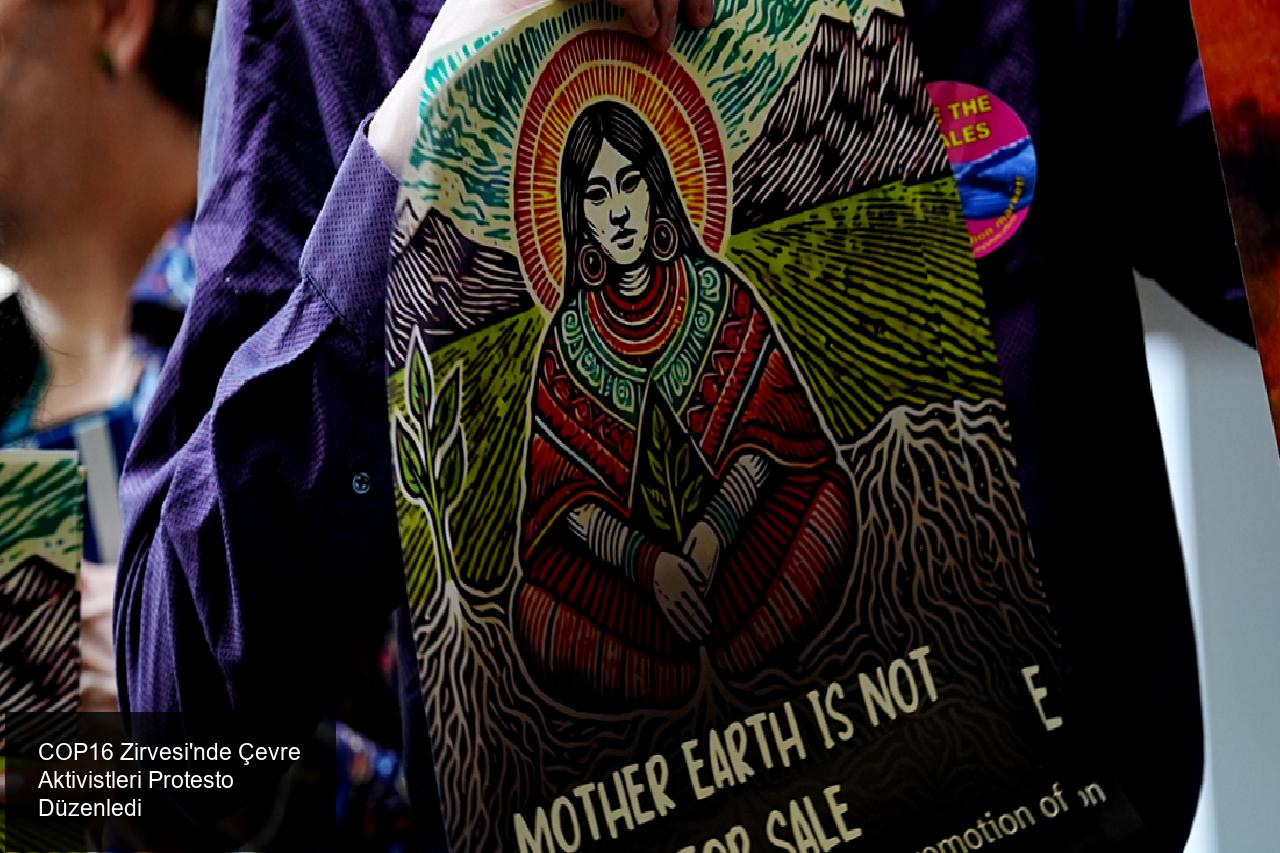 COP16 Zirvesi'nde Çevre Aktivistleri Protesto Düzenledi