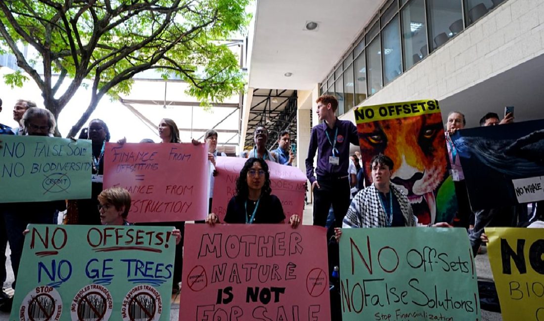 COP16 Zirvesi’nde Çevre Aktivistleri Protesto Düzenledi COP16 Zirvesi'nde çevre aktivistleri, iklim değişikliği ve çevresel sorunlara dikkat