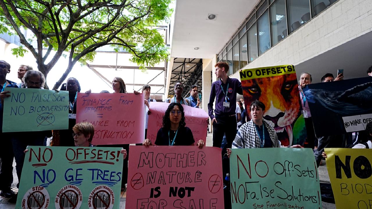 COP16 Zirvesi'nde çevre aktivistleri, iklim değişikliği ve çevresel sorunlara dikkat