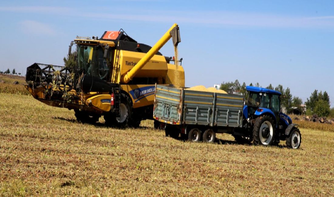 Diyarbakır'da Soya Üretiminin Geliştirilmesi Projesi, yerel tarımı güçlendirmek ve sürdürülebilir