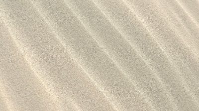 Dünya'daki yaşamın evrimi üzerine yapılan çarpıcı keşiflerle, türlerin kökenlerine ve