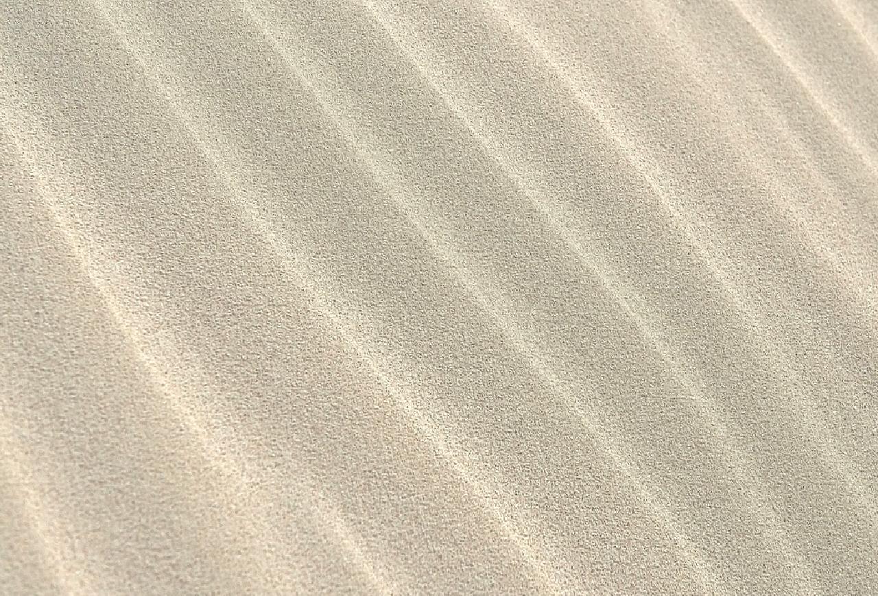 Dünya'daki yaşamın evrimi üzerine yapılan çarpıcı keşiflerle, türlerin kökenlerine ve