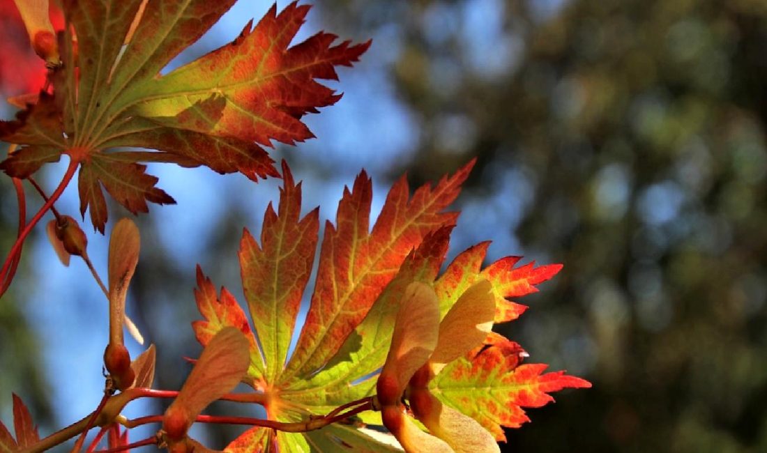 Ekim Vadeli Endeks Kontratı Analizi ile piyasa trendlerini, yatırım stratejilerini