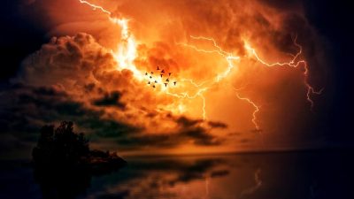 9 Ekim 2024 tarihli Elektrik Piyasası Gün Öncesi Piyasa Verileri