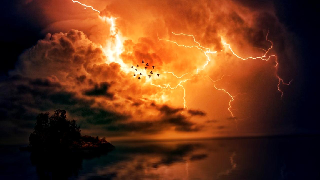 9 Ekim 2024 tarihli Elektrik Piyasası Gün Öncesi Piyasa Verileri