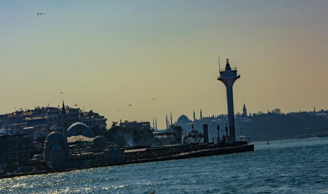 Giresun'da fındık işleme sektöründeki son gelişmeleri keşfedin. Yerel üreticilerin yenilikçi