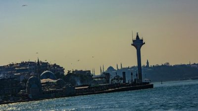 Giresun'da fındık işleme sektöründeki son gelişmeleri keşfedin. Yerel üreticilerin yenilikçi